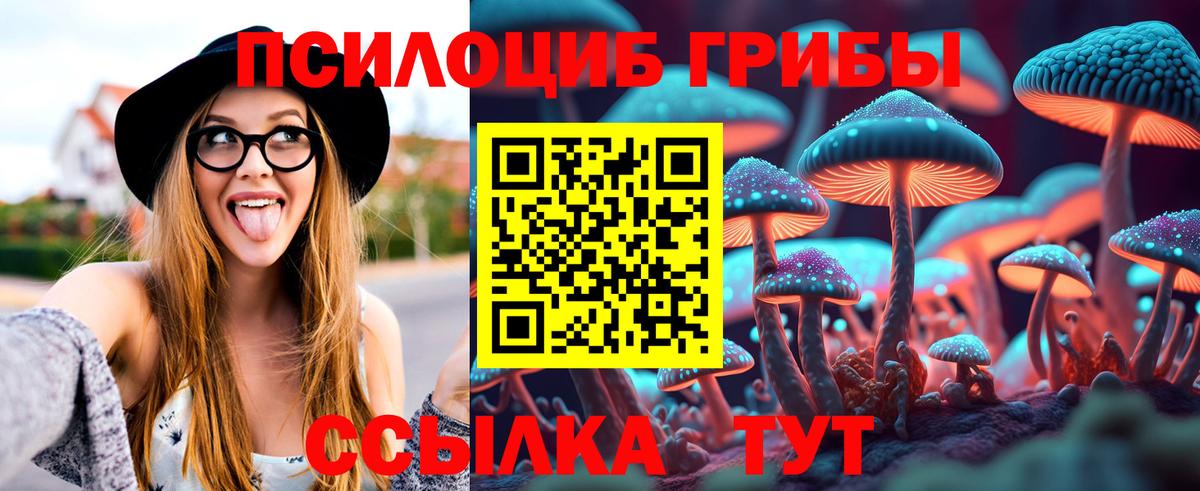 Галлюциногенные грибы Psilocybine cubensis Великий Устюг
